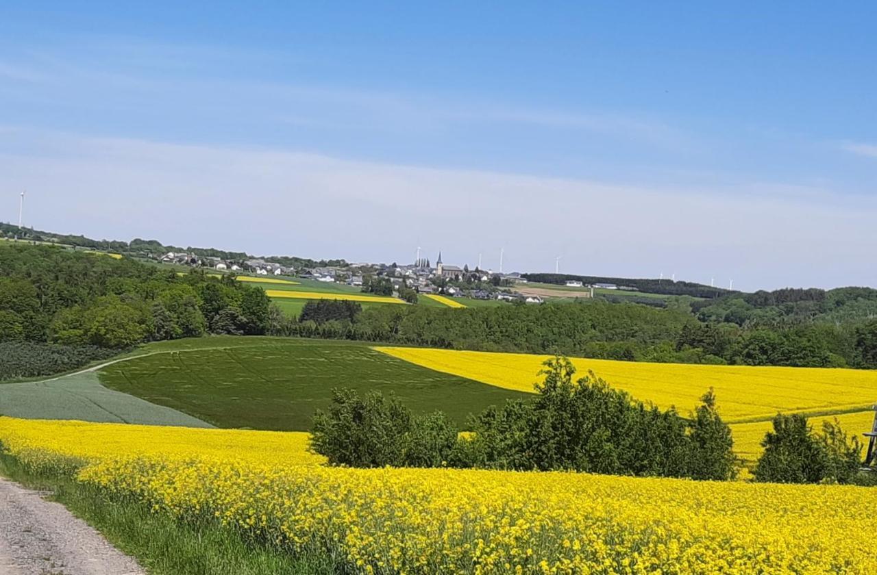 Kleine-Eifel-Auszeit Appartement Hambuch Buitenkant foto